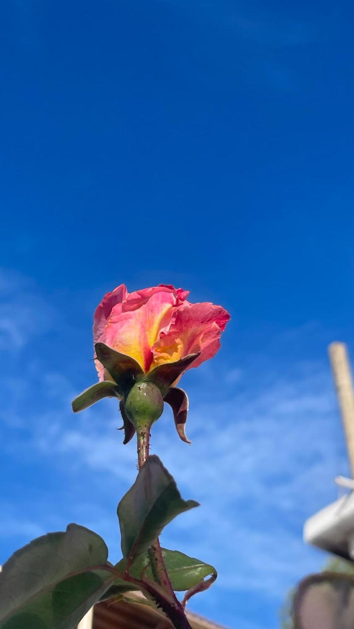 Tony Home بورش المظهر الخارجي الصورة